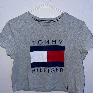 Cropped Grey Medium Tommy Hilfiger Sport Shirt